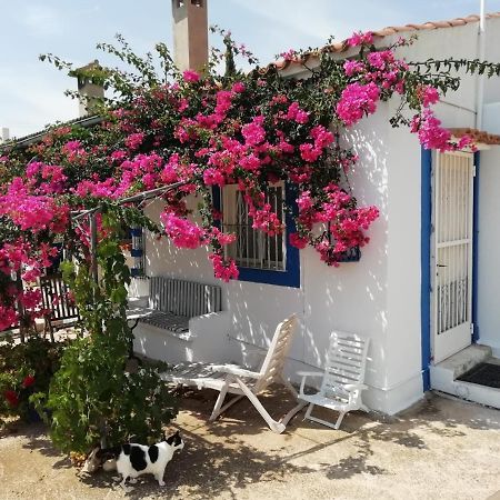 Finca La Joya Torreblanca Εξωτερικό φωτογραφία