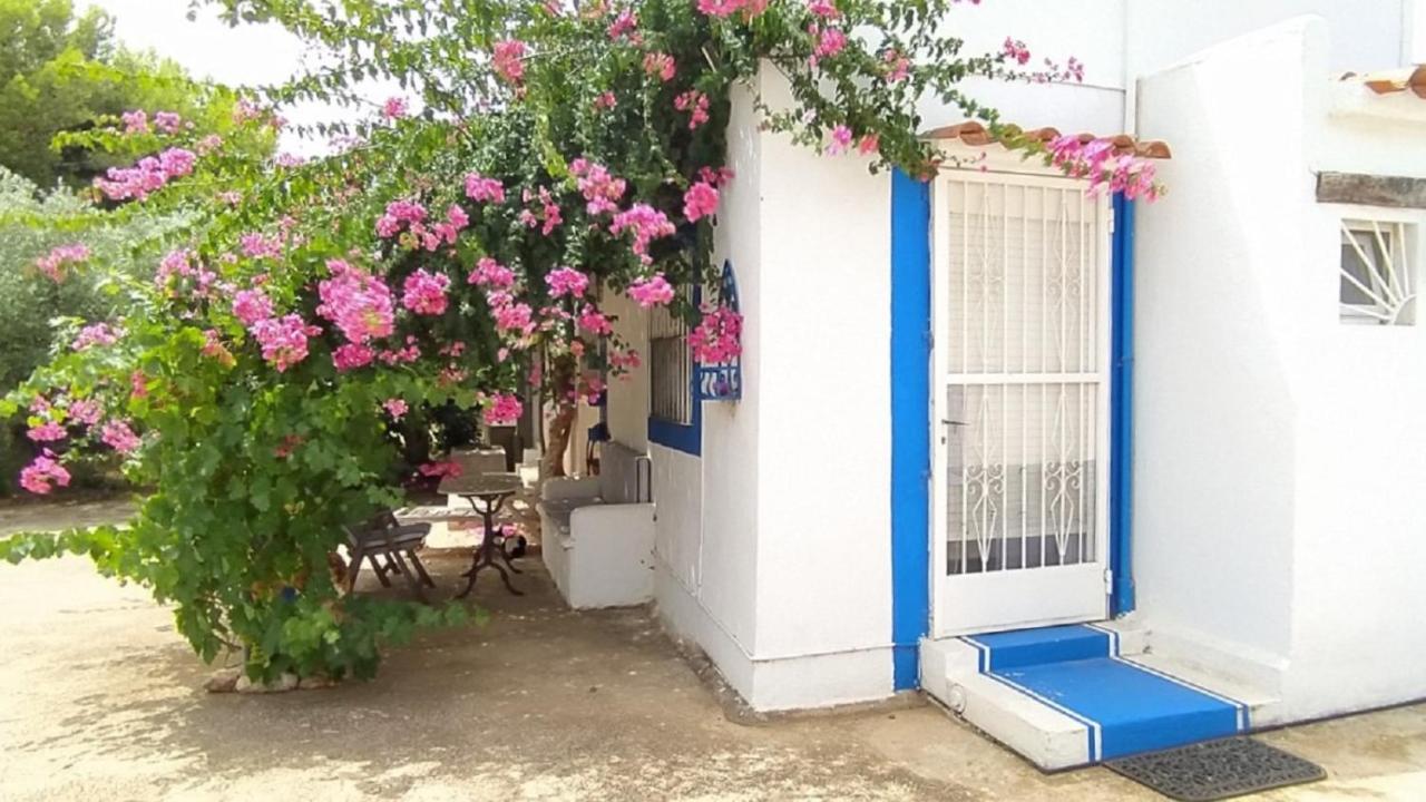 Finca La Joya Torreblanca Εξωτερικό φωτογραφία