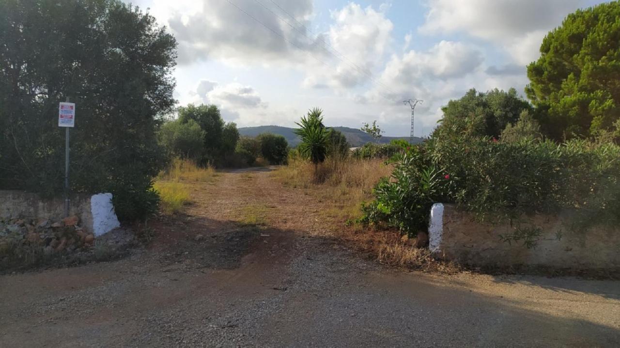 Finca La Joya Torreblanca Εξωτερικό φωτογραφία