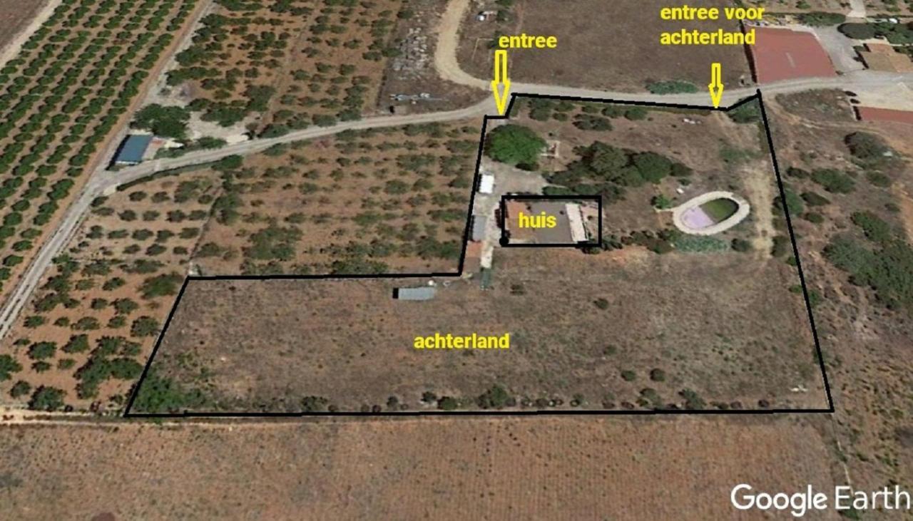 Finca La Joya Torreblanca Εξωτερικό φωτογραφία